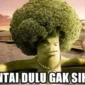Bahasa gaul lucu dan kocak dalam meme. (Foto: dok. Istimewa)
