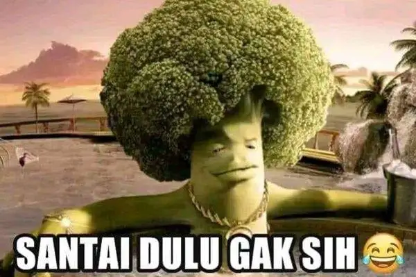 Bahasa gaul lucu dan kocak dalam meme. (Foto: dok. Istimewa)