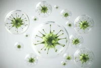 Ilustrasi virus Flu dari sapi. Foto: dok. Istimewa