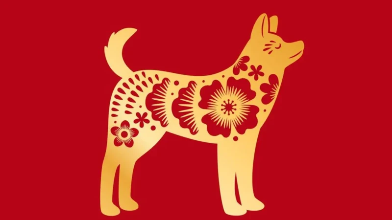 Ramalan Shio Anjing 2026. (Foto: Dok. Istimewa)