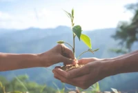 Memahami Fondasi ESG: Panduan Komprehensif untuk Transformasi Bisnis Modern