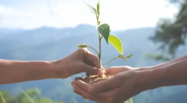 Memahami Fondasi ESG: Panduan Komprehensif untuk Transformasi Bisnis Modern