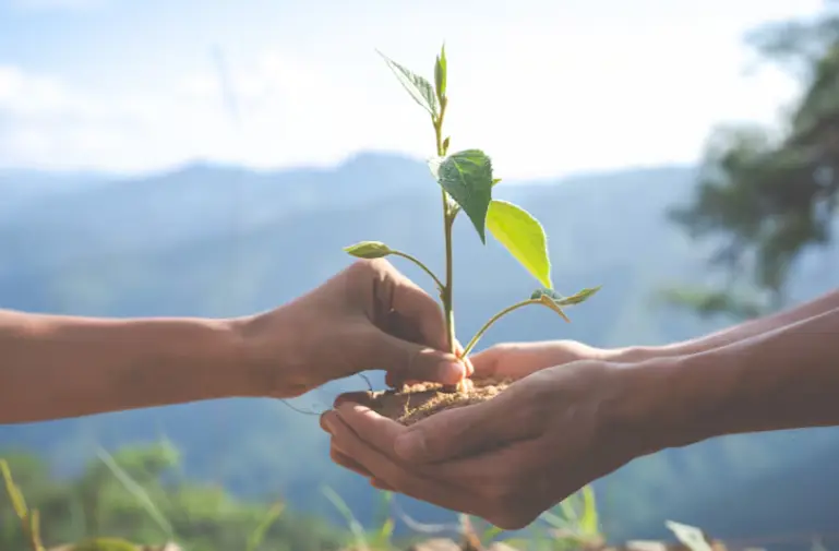 Memahami Fondasi ESG: Panduan Komprehensif untuk Transformasi Bisnis Modern